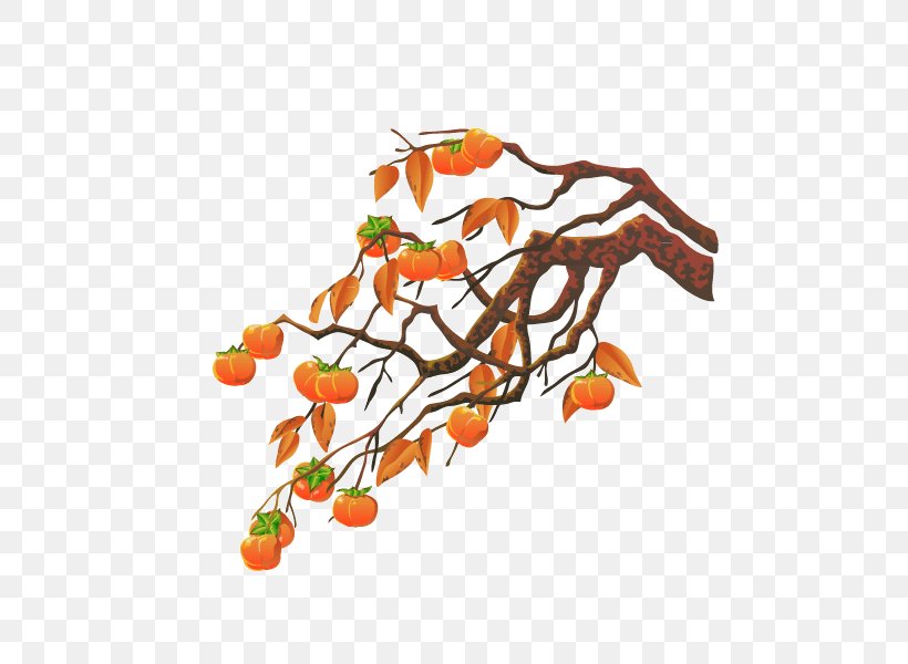 Persimmon Illustration, PNG, 800x600px, Tree, Branch, Cartoon, Coreldraw, Illustration Download Free