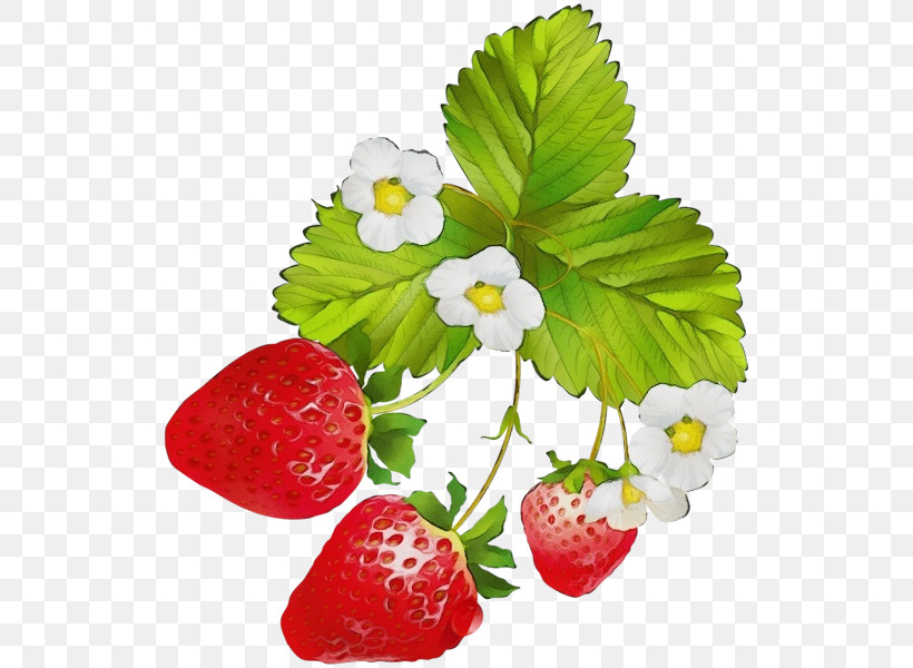 Strawberry, PNG, 530x600px, Watercolor, Berry, Cake, Fruit, Juice Download Free