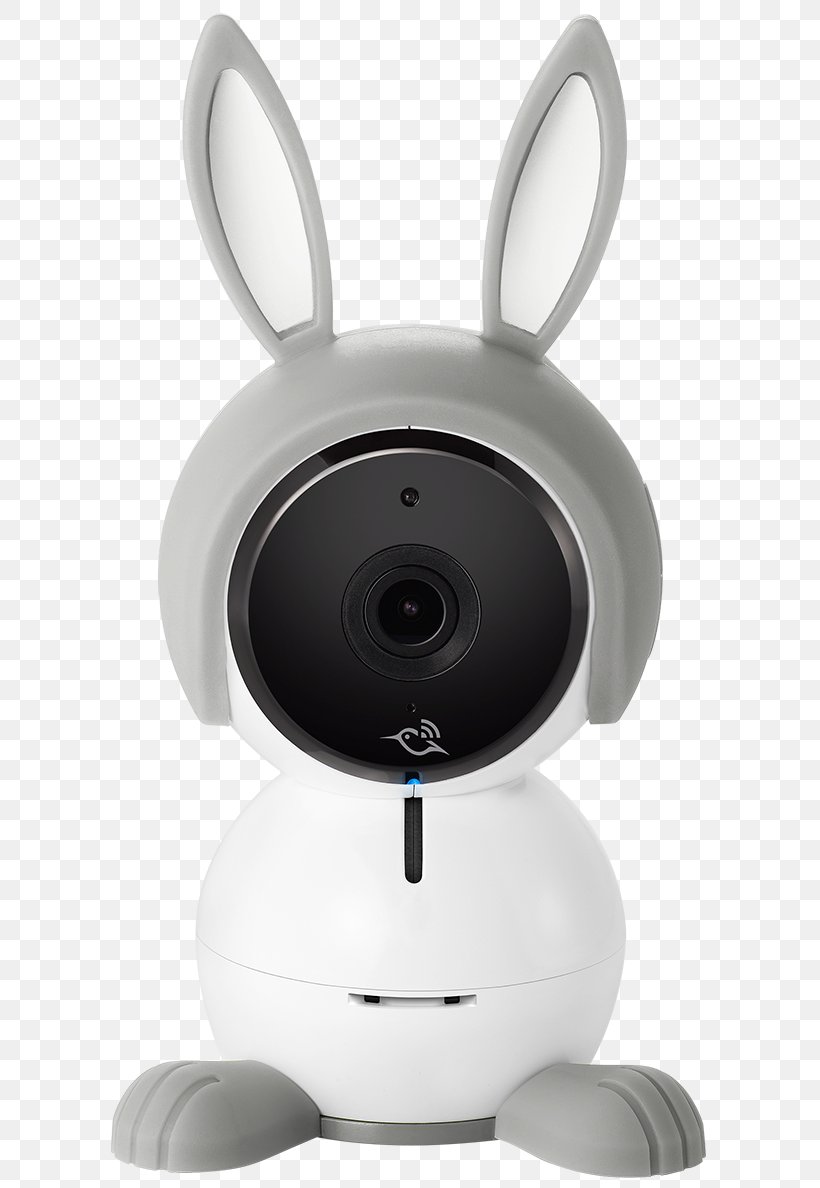 Baby Monitors Camera Infant Child Netgear, PNG, 795x1188px, Baby Monitors, Camera, Child, Highdefinition Television, Highdefinition Video Download Free
