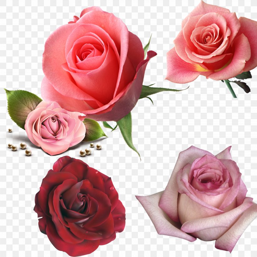 Flower Rose Computer File, PNG, 6250x6250px, Brick Flower, Artificial Flower, Cut Flowers, Floral Design, Floribunda Download Free