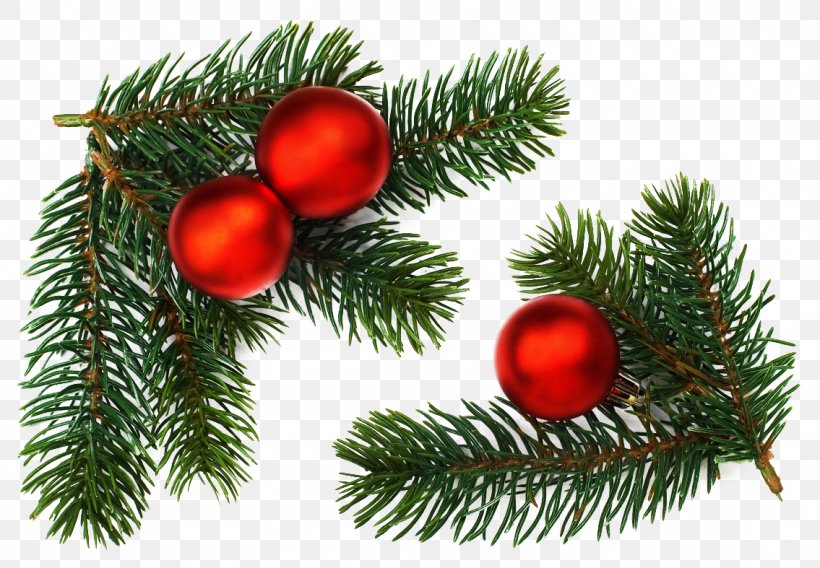 Stock Photography Drawing Christmas Branch, PNG, 1135x787px, Stock Photography, Agence Photographique, Branch, Christmas, Christmas Decoration Download Free