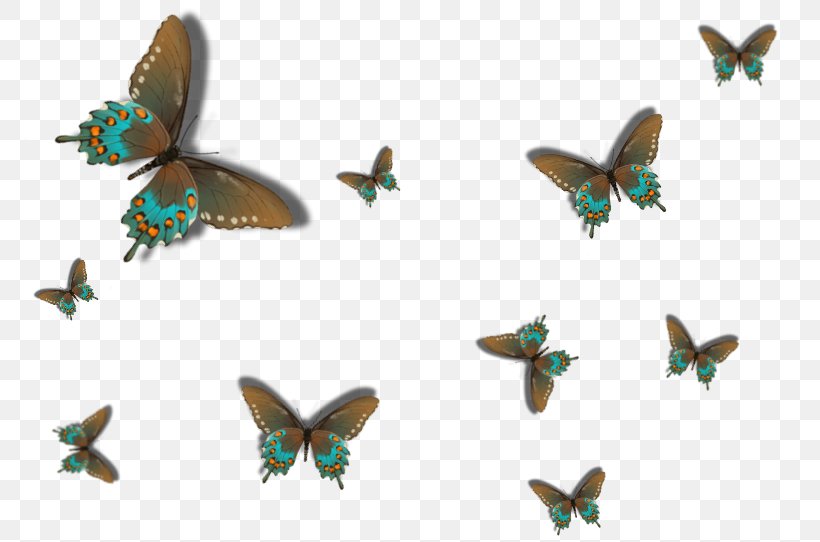 Butterfly Idea Nursery Moth, PNG, 785x542px, Butterfly, Bedroom, Butterflies And Moths, Child, Fauna Download Free