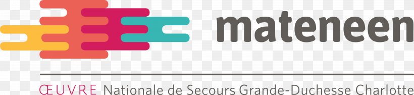 Logo Digital Inclusion Asbl Product Design Œuvre Nationale De Secours Grande-Duchesse Charlotte, PNG, 4383x1009px, Logo, Advertising, Brand, Diagram, Grand Duchy Download Free