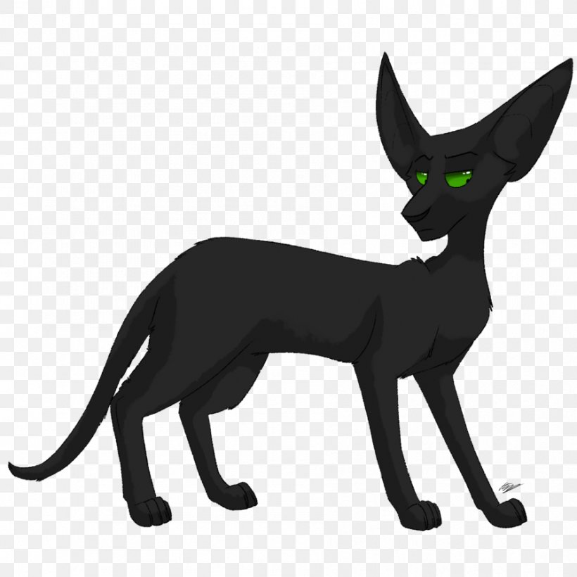 Whiskers Dog Cat Red Fox Clip Art, PNG, 894x894px, Whiskers, Carnivoran, Cat, Cat Like Mammal, Character Download Free