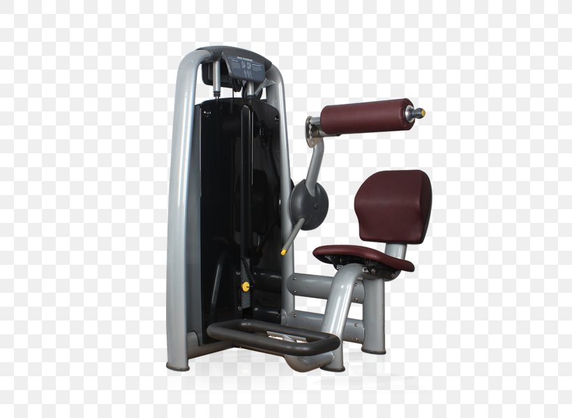 Fitness Centre Exercise Equipment Strength Training Physical Fitness, PNG, 600x600px, Fitness Centre, Crunch, Exercise Equipment, Exercise Machine, Gym Download Free