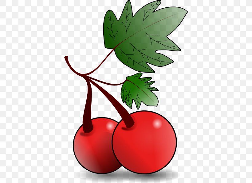 Fruit Salad Clip Art, PNG, 402x595px, Fruit, Blackberry, Cherry, Flowering Plant, Food Download Free