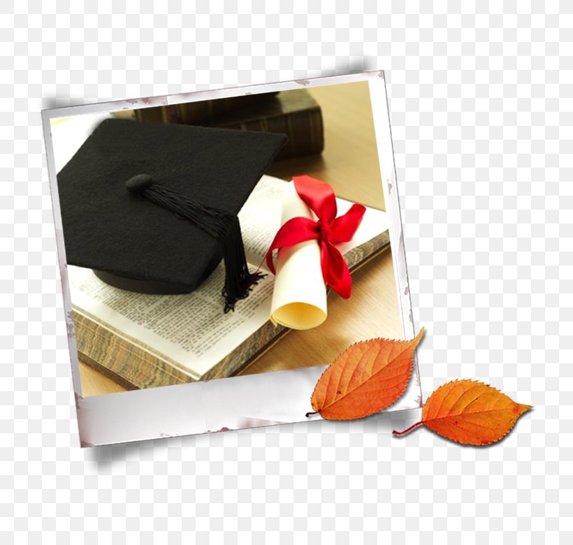 Graduation Ceremony Estudante, PNG, 771x780px, Graduation Ceremony, Advertising, Alumni Association, Alumnus, Book Design Download Free