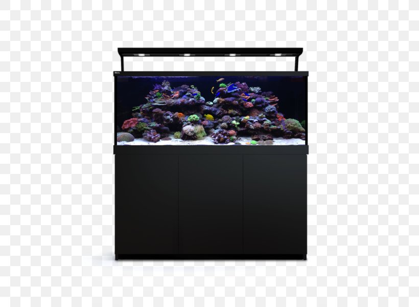 Red Sea Max S650 Coral Reef Aquarium, PNG, 495x600px, Red Sea, Aquarium, Aquarium Lighting, Aquariums, Coral Download Free