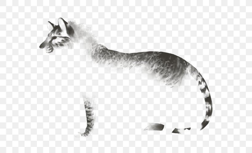 Whiskers Tiger Cat Red Fox Fur, PNG, 640x500px, Whiskers, Big Cat, Big Cats, Black And White, Carnivoran Download Free