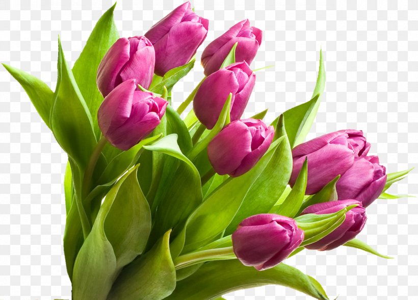 Flower Bouquet Tulip Leaf Petal, PNG, 1280x918px, Flower, Blue Rose, Bud, Cut Flowers, Floral Design Download Free