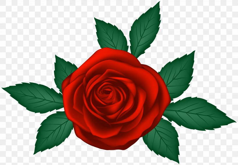 Garden Roses Clip Art, PNG, 8000x5551px, Centifolia Roses, Art, Blue Rose, Flower, Flowering Plant Download Free