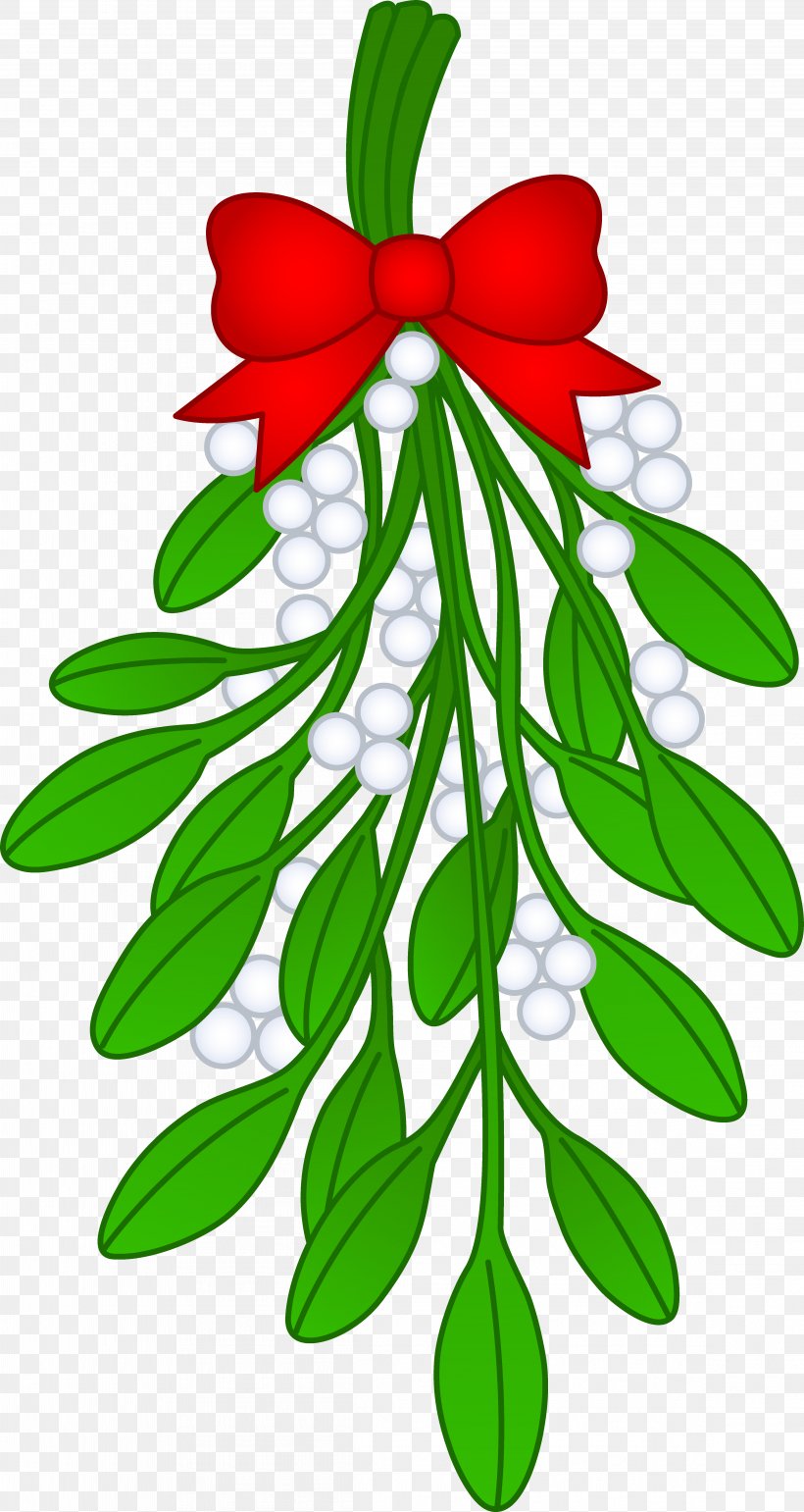 Mistletoe Christmas Kiss Santa Claus Clip Art, PNG, 4622x8688px, Mistletoe, Branch, Christmas, Christmas And Holiday Season, Christmas Card Download Free