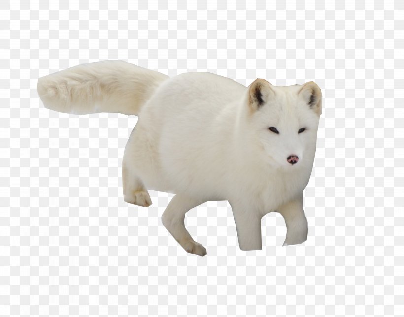 Arctic Fox Red Fox Dog, PNG, 4200x3300px, Arctic Fox, Animal, Animal Figure, Arctic, Arctic Wolf Download Free