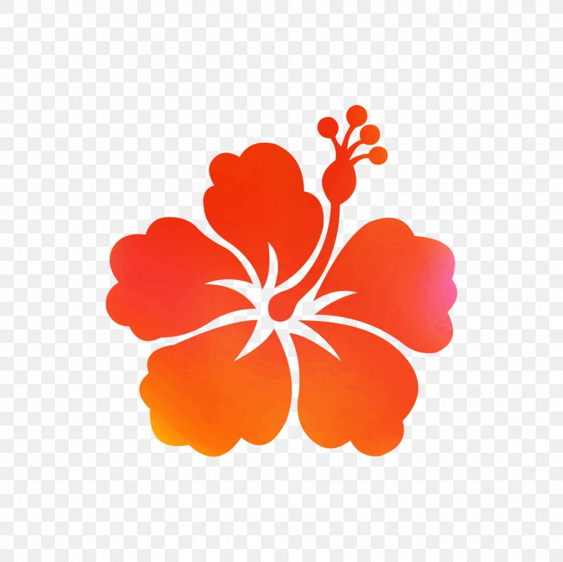 Hawaii Shoeblackplant Wall Decal Sticker, PNG, 1600x1600px, Hawaii, Aloha, Chinese Hibiscus, Decal, Flower Download Free