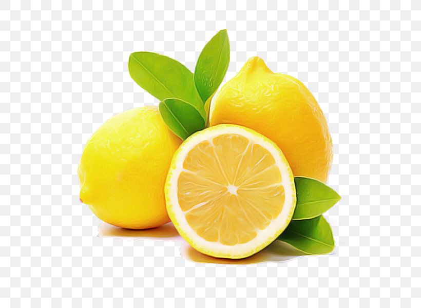 Lemon Persian Lime Citrus Citric Acid Lime, PNG, 600x600px, Lemon, Citric Acid, Citrus, Fruit, Key Lime Download Free