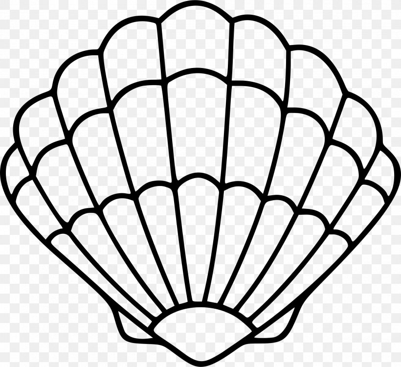 Seashell Mollusc Shell Clip Art, PNG, 2400x2196px, Seashell, Area, Autocad Dxf, Black And White, Drawing Download Free