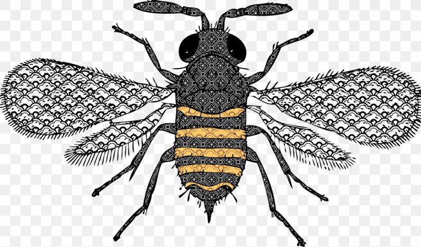 Honey Bee Queen Bee Clip Art, PNG, 1280x752px, Bee, Arthropod, Bumblebee, Fly, Honey Bee Download Free