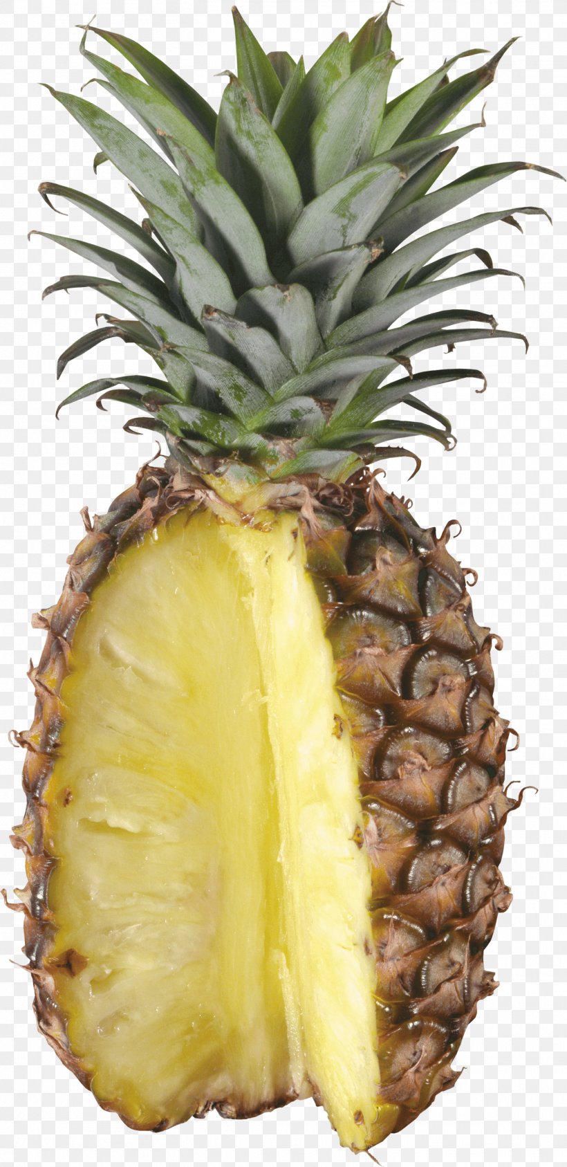 Jungle Juice Smoothie Pineapple, PNG, 1458x3000px, Jungle Juice, Ananas, Bromeliaceae, Bromeliads, Food Download Free