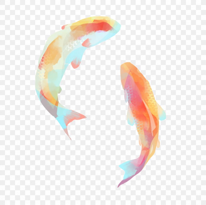 Koi Carassius Auratus Fish Carp, PNG, 2362x2362px, Koi, Aquarium Fish Feed, Carassius Auratus, Carp, Dolphin Download Free
