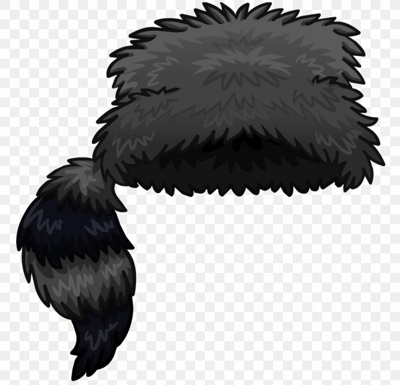 raccoon-coonskin-cap-hat-clip-art-png-885x853px-raccoon-beak-beret