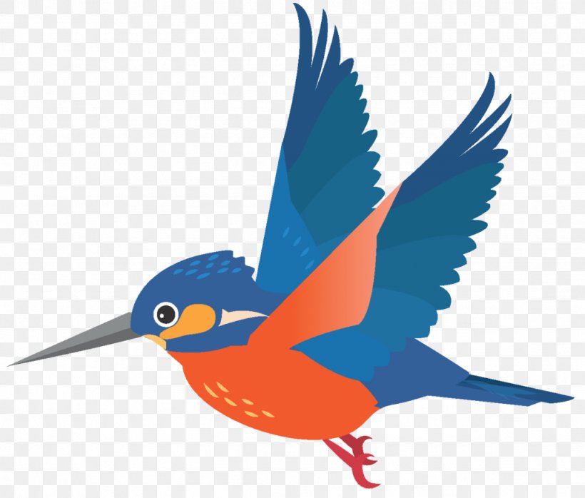 Beak Macaw Clip Art Feather Wing, PNG, 1024x872px, Beak, Bird, Bluebird Systems Inc, Bluebirds, Fauna Download Free