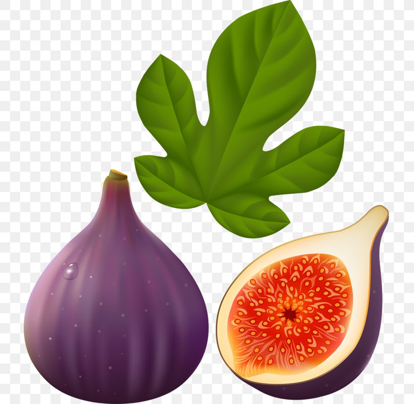 Common Fig Fruit Fig Leaf Clip Art, PNG, 725x800px, Common Fig, Diet Food, Drawing, Fig Leaf, Food Download Free
