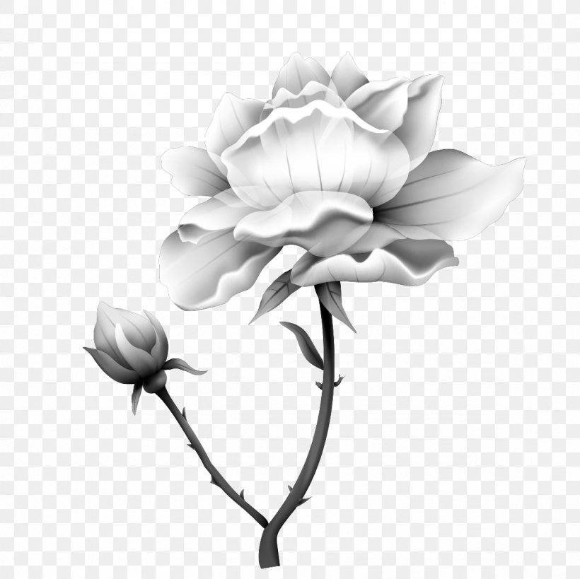 Nelumbo Nucifera Ink Wash Painting Black And White, PNG, 1181x1181px, Nelumbo Nucifera, Black And White, Chinese Painting, Chinoiserie, Cut Flowers Download Free