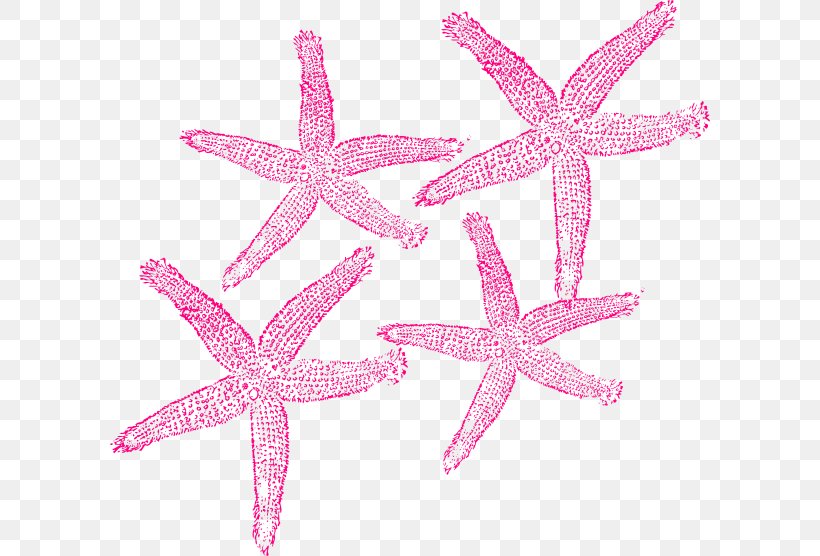 Starfish Clip Art Openclipart Image Free Content, PNG, 600x556px, Starfish, Blog, Echinoderm, Invertebrate, Marine Invertebrates Download Free