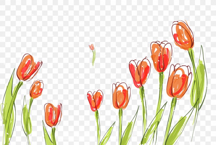 Tulip Poster Fundal, PNG, 2500x1688px, Tulip, Cartoon, Coreldraw, Crayon, Cut Flowers Download Free