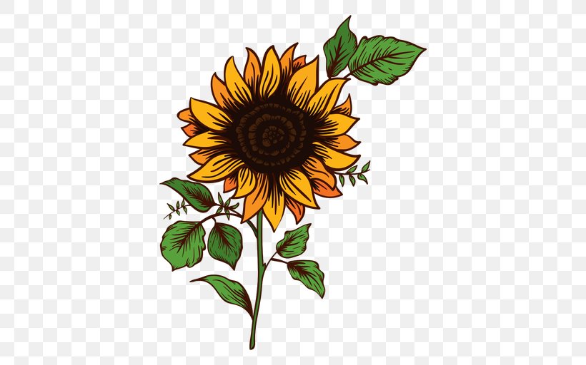 Common Sunflower Drawing Clip Art, PNG, 512x512px, Common Sunflower, Animation, Cartoon, Cut Flowers, Daisy Family Download Free