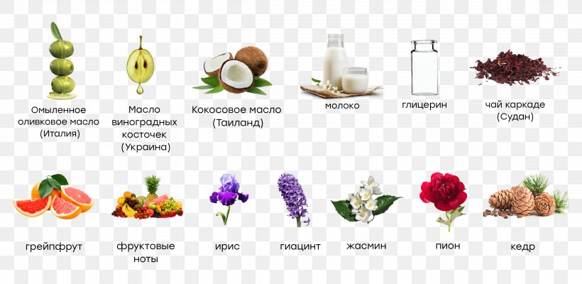 Cosmetics Perfume Soap Cut Flowers Oil, PNG, 4569x2230px, Cosmetics, Aroma, Cream, Cut Flowers, Flora Download Free