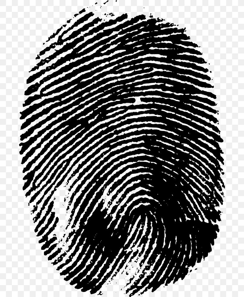Fingerprint Clip Art, PNG, 692x1000px, Fingerprint, Automotive Tire, Bit, Black And White, Digital Media Download Free