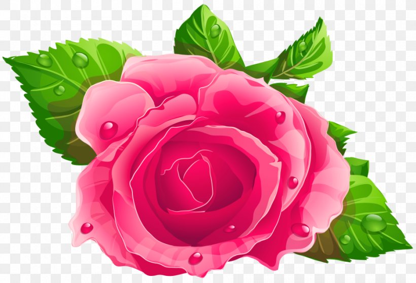 Rose Pink Clip Art, PNG, 936x638px, Rose, Annual Plant, China Rose, Cut Flowers, Flickr Download Free