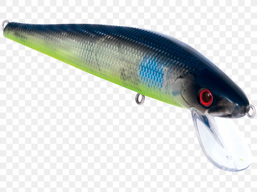 Sardine Stick Master Oily Fish Milkfish Water, PNG, 1200x899px, Sardine, Ac Power Plugs And Sockets, Bait, Fish, Fishing Bait Download Free