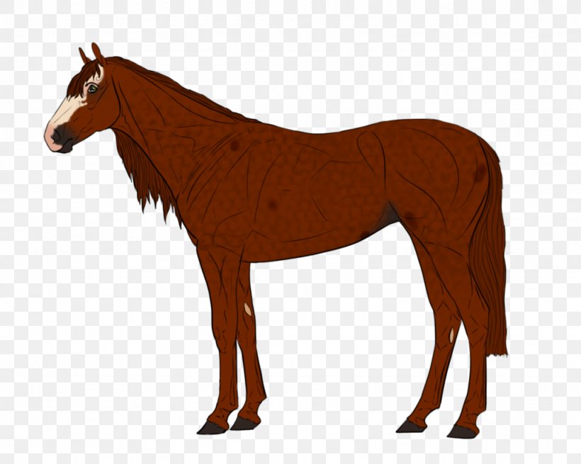 Sport Horse Warmblood Breyer Animal Creations Black, PNG, 1024x819px, Horse, Animal Figure, Black, Breyer Animal Creations, Bridle Download Free
