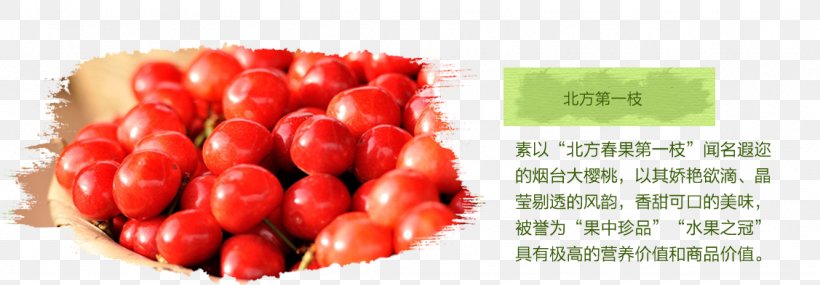 Tomato Cherry Fruit Computer File, PNG, 1127x393px, Tomato, Auglis, Berry, Cherry, Cranberry Download Free