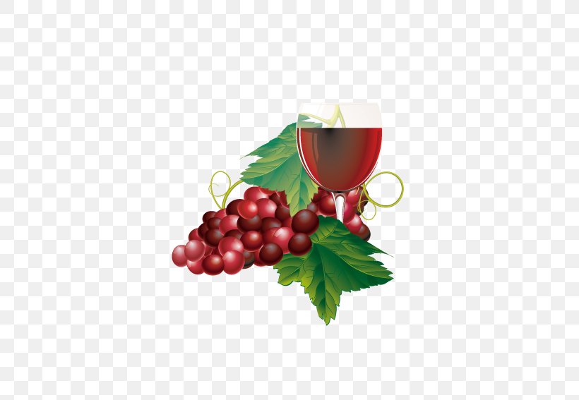 White Wine Common Grape Vine, PNG, 567x567px, White Wine, Bottle, Christmas Ornament, Common Grape Vine, Drinkware Download Free