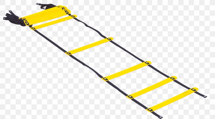 Agility Drill Physical Exercise Exercise Equipment Ladder, PNG, 1078x600px, Agility, Aerobic Exercise, Agility Drill, Crossfit, Crosstraining Download Free