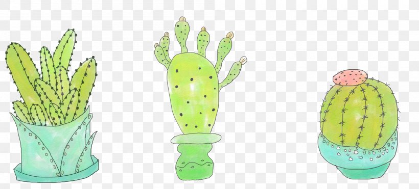 Cactaceae Cactus Y Suculentas Drawing Succulent Plant, PNG, 2000x907px, Cactaceae, Animation, Cactus, Cactus Y Suculentas, Dessin Animxe9 Download Free