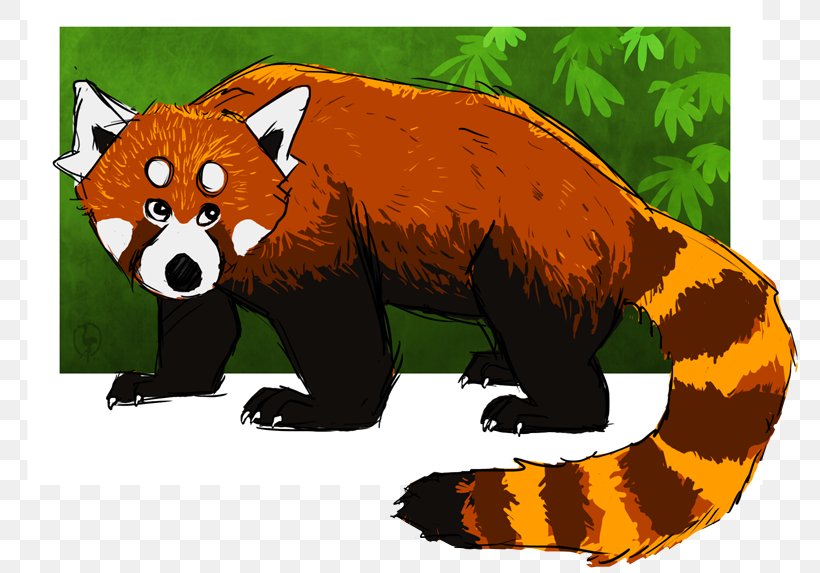 Red Panda Bear Vertebrate Giant Panda Carnivora, PNG, 800x573px, Red Panda, Animal, Bear, Carnivora, Carnivoran Download Free
