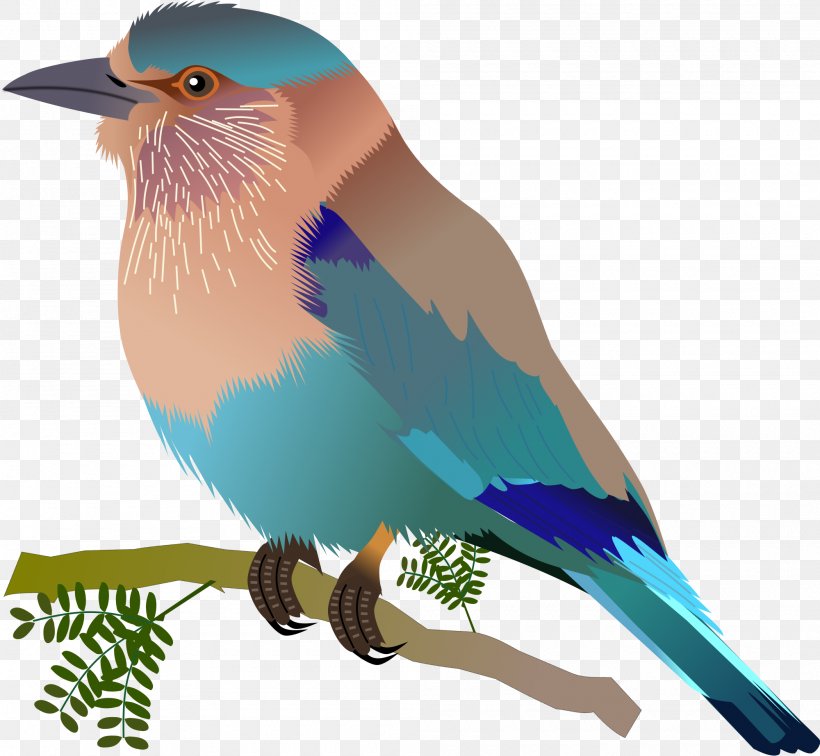 Songbird Indian Roller Beak Clip Art, PNG, 2000x1845px, Bird, Beak, Bluebird, Coracias, Eastern Bluebird Download Free