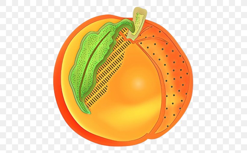 Winter Squash Pumpkin, PNG, 509x509px, Winter Squash, Fruit, Orange, Plant, Pumpkin Download Free