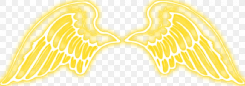 Angel Photography PhotoScape, PNG, 1000x353px, Angel, Color, Editing, Fictional Character, Gimp Download Free