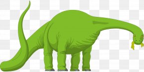 Brachiosaurus - Brachiosaurus Diplodocus Apatosaurus Camarasaurus Brontosaurus PNG