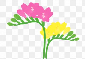 Flora Fauna Serenella - Petal Freesia Cut Flowers Plant PNG