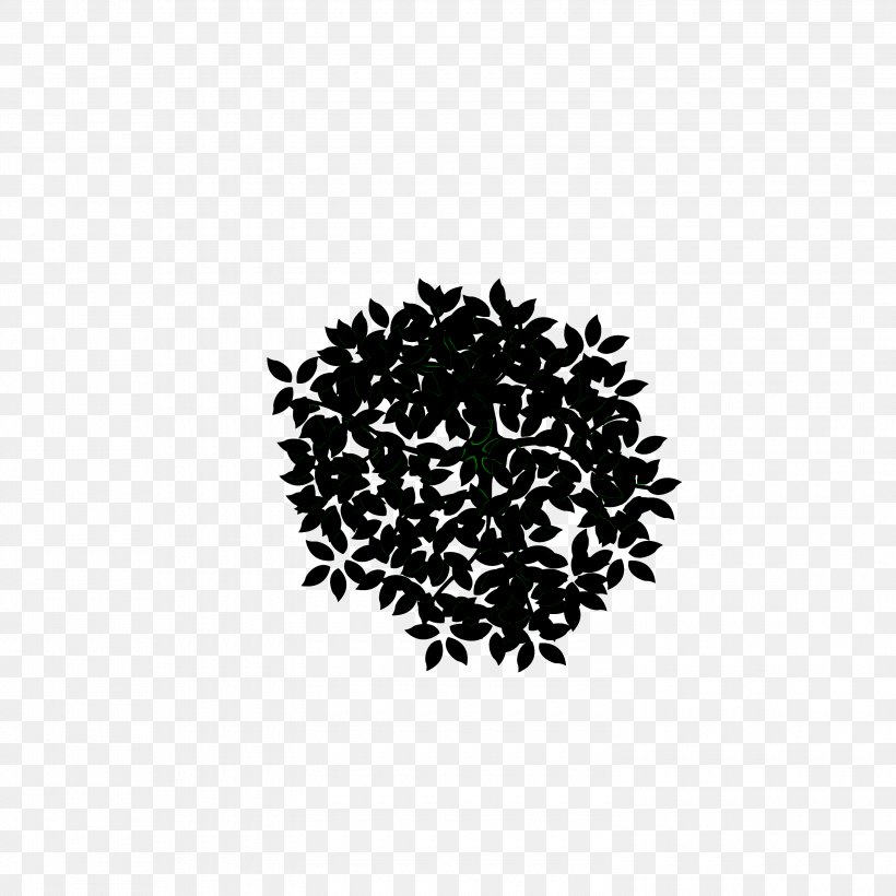 Plant, PNG, 3000x3000px, Plant Download Free