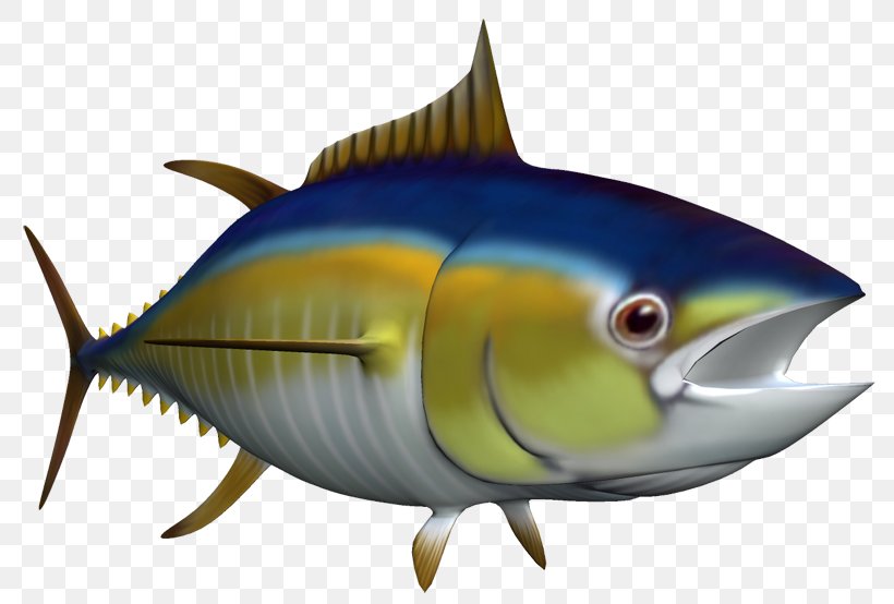 Thunnus Sardine Marine Biology Milkfish Oily Fish, PNG, 800x554px, Thunnus, Biology, Bony Fish, Coral, Coral Reef Download Free