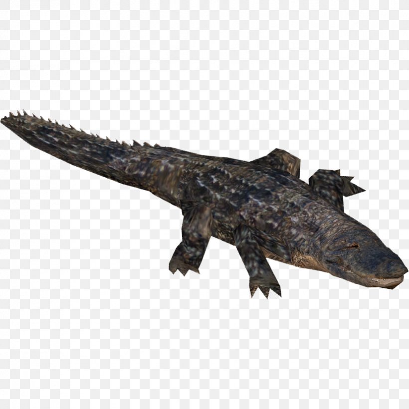 Zoo Tycoon 2 Far Cry 5 American Alligator Nile Crocodile Crocodiles, PNG, 827x827px, Zoo Tycoon 2, Alligator, American Alligator, American Crocodile, Crocodile Download Free
