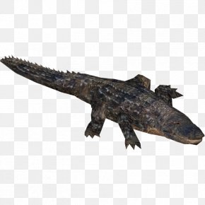 Crocodile - Zoo Tycoon 2 Far Cry 5 American Alligator Nile Crocodile Crocodiles PNG