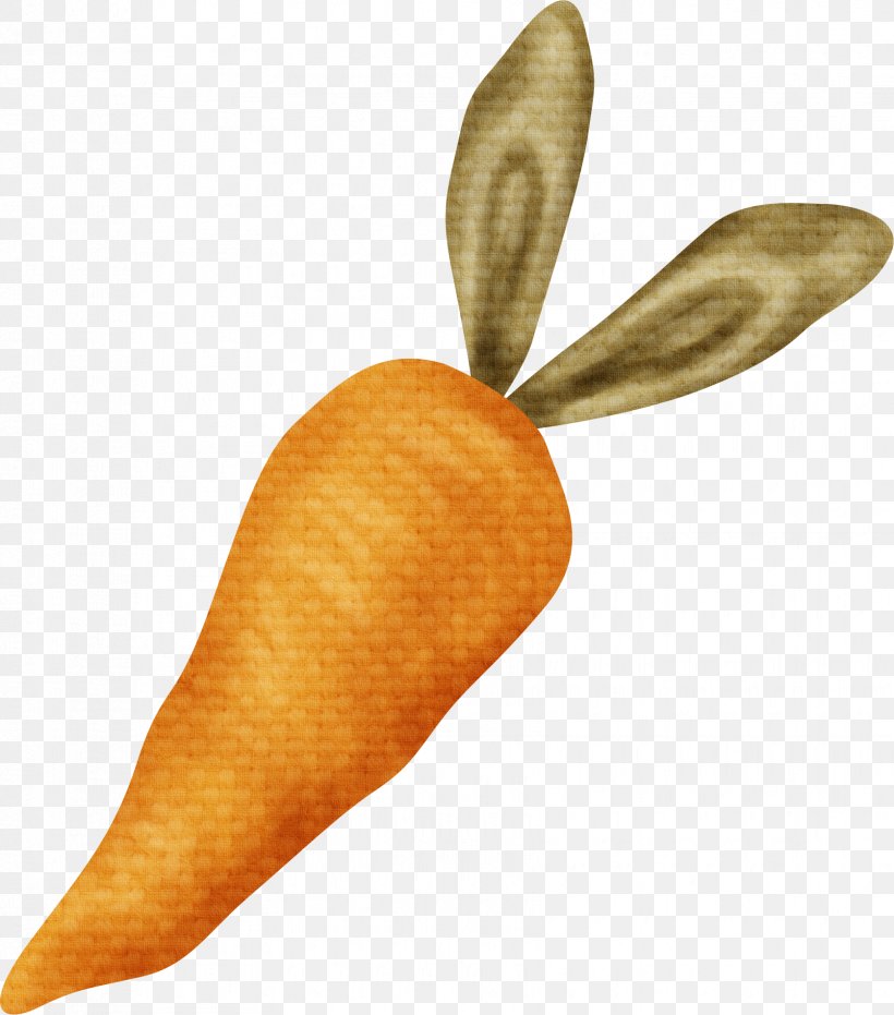 Carrot Orange Ice Cream Cone, PNG, 1675x1902px, Carrot, Daucus Carota, Drawing, Food, Google Images Download Free
